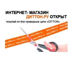 Ditton.ru online store
